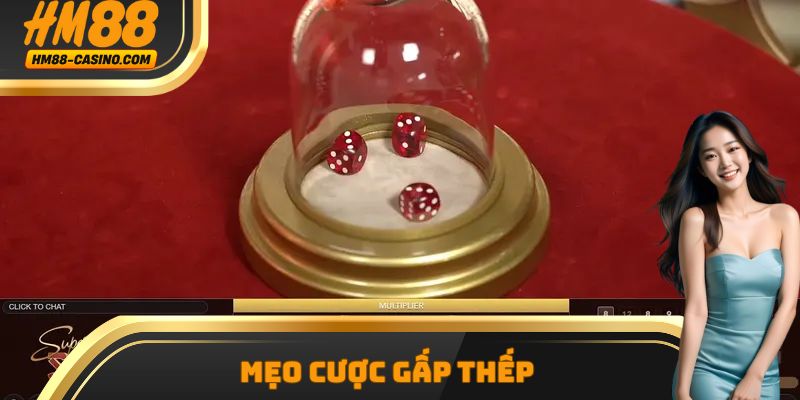 Mẹo Cược Gấp Thếp - Có Nên Thử Sức Cùng Nhà Cái HM88?